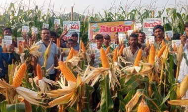 జీనెక్స్ సీడ్స్ ఇండియా ప్రైవేట్ లిమిటెడ్ కంపెనీ పంట దిగుబడి పై  రైతుకు మెలుకులు