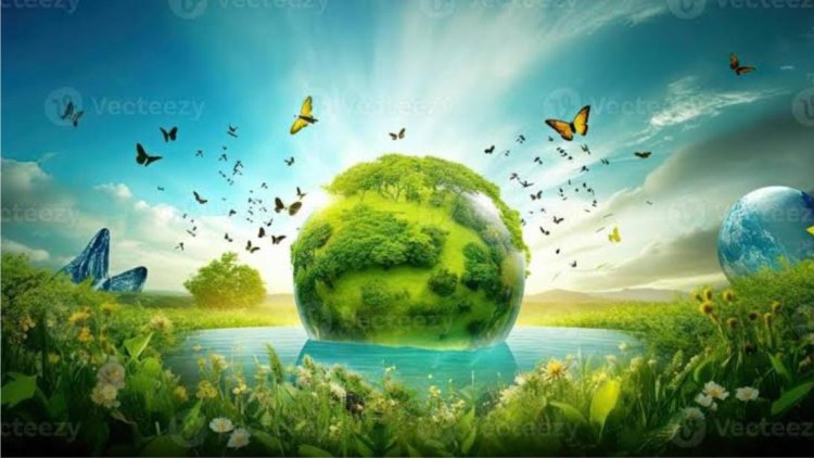 మ్యానిఫెస్టో అఫిడవిట్ రూపంలో ప్రజల ముందుంచాలి